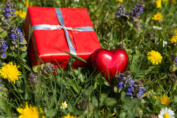 Grußkarte Herz und Geschenk auf Frühlingswiese