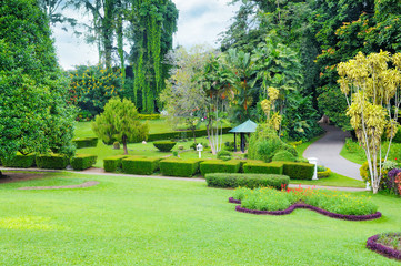 lawn and hedge in a summer park
