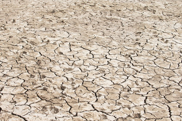 dry soil texture background