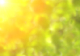 Obraz premium Summer blurred background