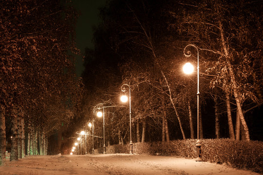 city avenue in the winter