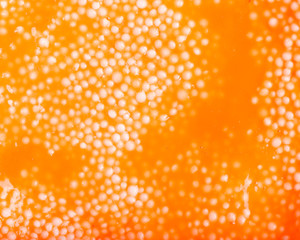 Abstract Colorful background - textured orange wet Plasticine