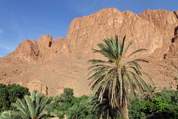 Fototapeta na wymiar Dades Valley, Morocco 