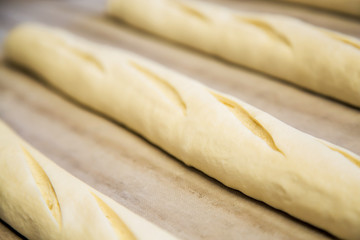 A plain baguette ready to bake on baking tray