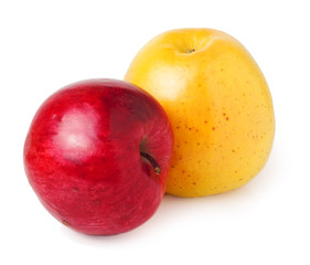 red and yellow apple isolated on a white background