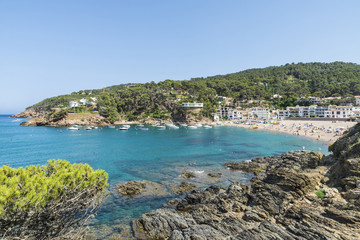 Fototapeta na wymiar Sa Riera beach in Costa Brava, Catalonia, Spain