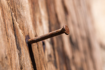 A rusty nail in a wooden board