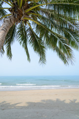 Naklejka na ściany i meble Tropical beach with coconut palm at summer time