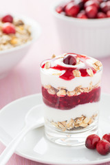Joghurt Nachtisch mit Müsli und Cranberrys