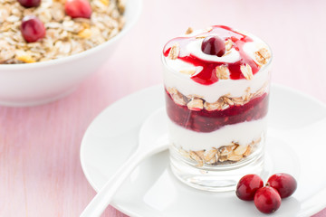 Gesundes Dessert mit Joghurt und Cranberry