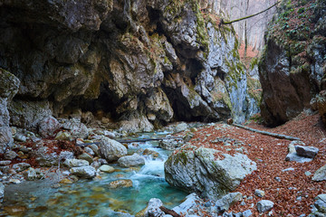 Naklejka premium River in a canyon