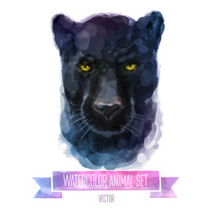 Vector set of watercolor illustrations. Cute panther