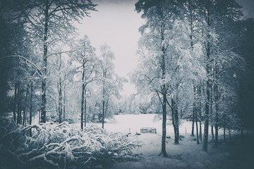 old vintage, analog winter landscape in Sweden