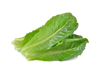 Fresh cos  on white background