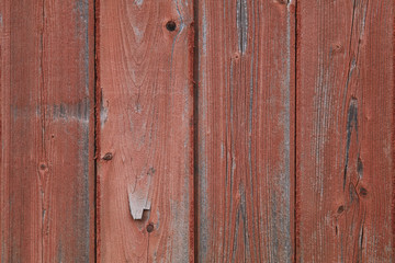 Wood Texture
