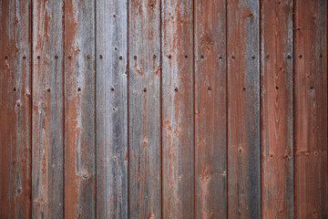 Naklejka premium Wood Texture