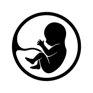 Fetus Icon Isolated on White Background