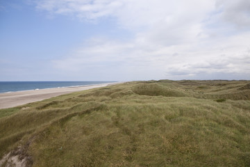 Endless Beach and Sand Dunes. The west coast of Denmark feels like one endless beach bounded by sand dune covered in beautifully textured and delicately coloured dune grass.