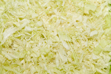 Closeup of freshly cut cabbage salad