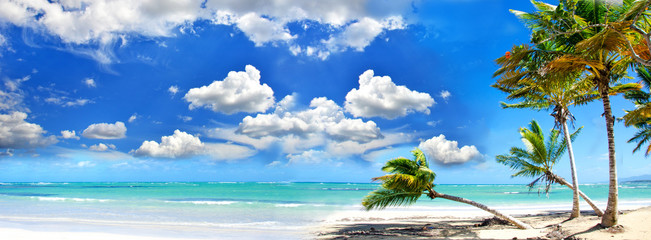 Beach panorama: Perfect tropical paradise beach with turquoise blue water,  blue sky and coco palm :)