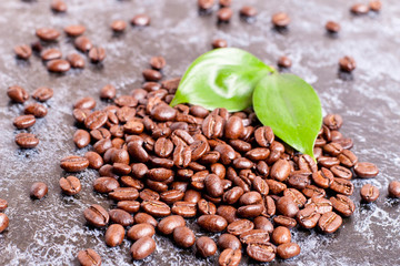 coffee beans and leaves on a dark background