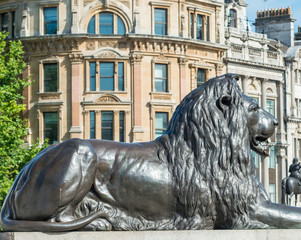 Lion statue of Trafalgar Square, London - obrazy, fototapety, plakaty