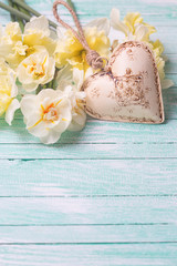 Fresh yellow narcissus flowers  and decorative heart on turquois