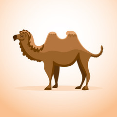 Cartoon camel on isolated background. Flat style illustration.