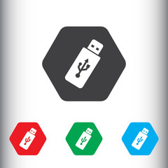 USB icon. Flash drive symbol