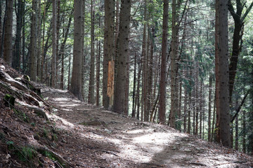 Hiking trail