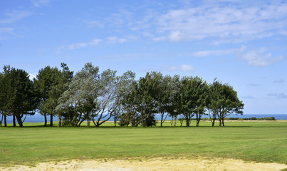 Obraz premium Golfplatz am Atlantik in Frankreich