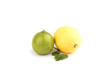 Citrus on white background