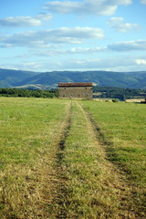 Track on the field