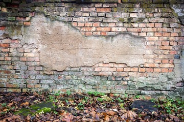 Old brick wall