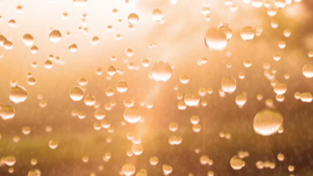 Beautiful Rain Drops in Slow Motion, Sun Shine, HD 1080, Looped animation.