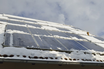 Solarmodule im Winter