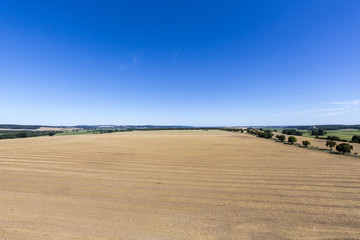 Fototapeta na wymiar flat landscape in Mecklenburg, Germany with blue sky