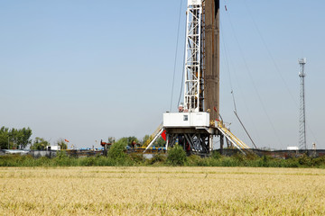 Oilfield derrick and paddy fields
