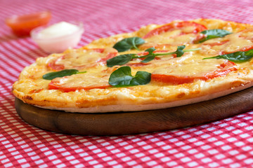 Homemade Pizza Margarita