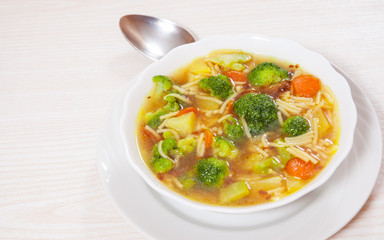 Fresh vegetable soup with noodles 