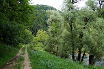 Track and river