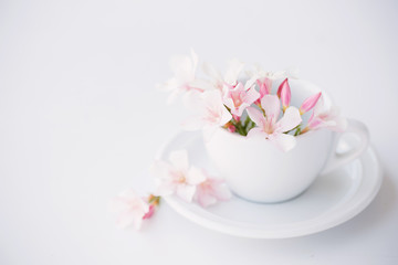 Obraz na płótnie Canvas still life with flowers in white cup
