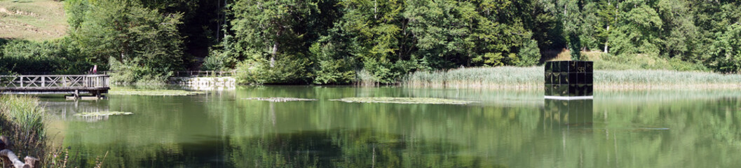 Fototapeta na wymiar Panorama of pond