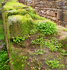 chellah  in morocco africa the old roman deteriorated monument a