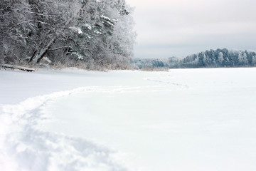 Заснеженный берег озера зимой
