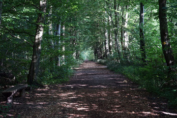 Wide footpath