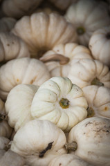 Kürbis, Speisekürbis, Herbstfest, Baby Boo, Cucurbita Pepo, Herbsternte, Dekoration, Herbst, Schweiz