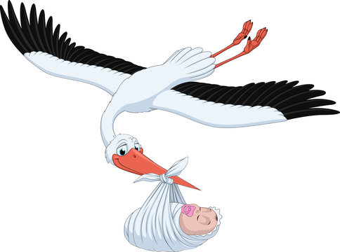Stork and baby