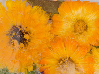 Orange Ice abstraction flower