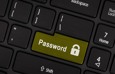 Text password button